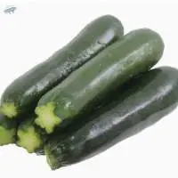 Organic Zucchini
