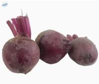 Organic Beetroot