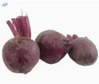 Organic Beetroot
