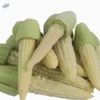 Organic Pickled Corn
