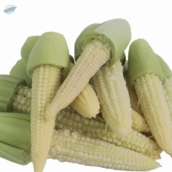 Organic Pickled Corn