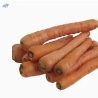 Organic Carrot