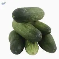Organic Cucumber