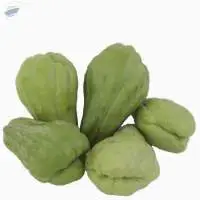 Organic Baby Chayote