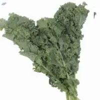 Organic Kale