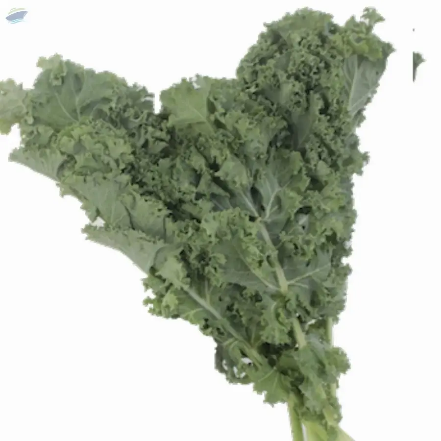 Organic Kale