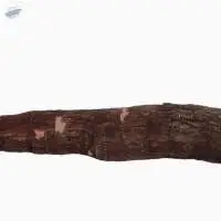 Organic Cassava
