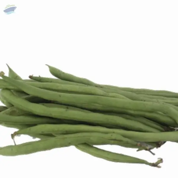 Organic Green Bean