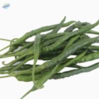 Organic Green Chilli