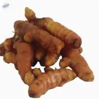 Organic Fresh Turmeric