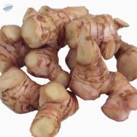 Organic Fresh Galangal