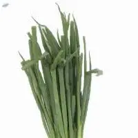 Organic Chives