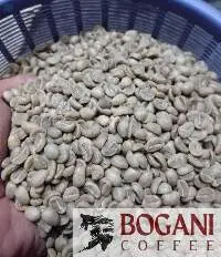 Central Java Arabica