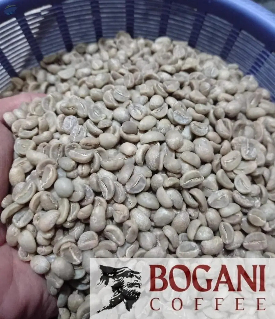 Central Java Arabica