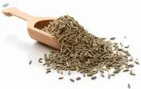 Cumin Seeds (jeera)