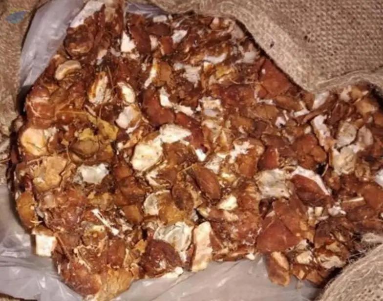 Tamarind