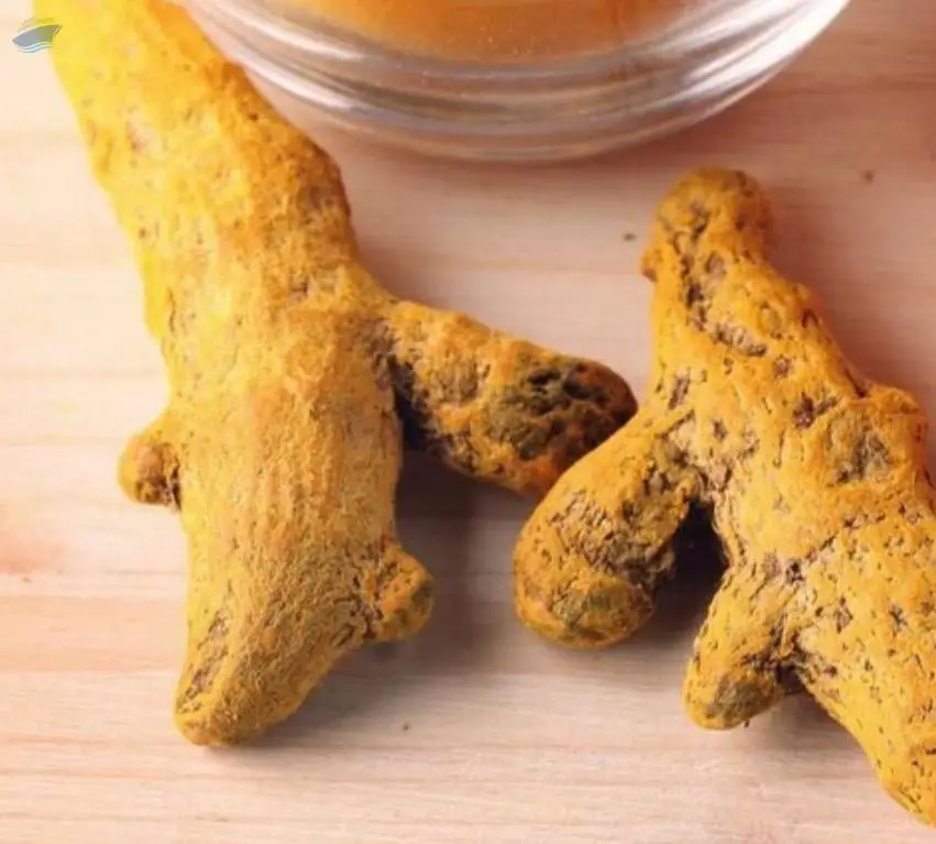 Turmeric Finger