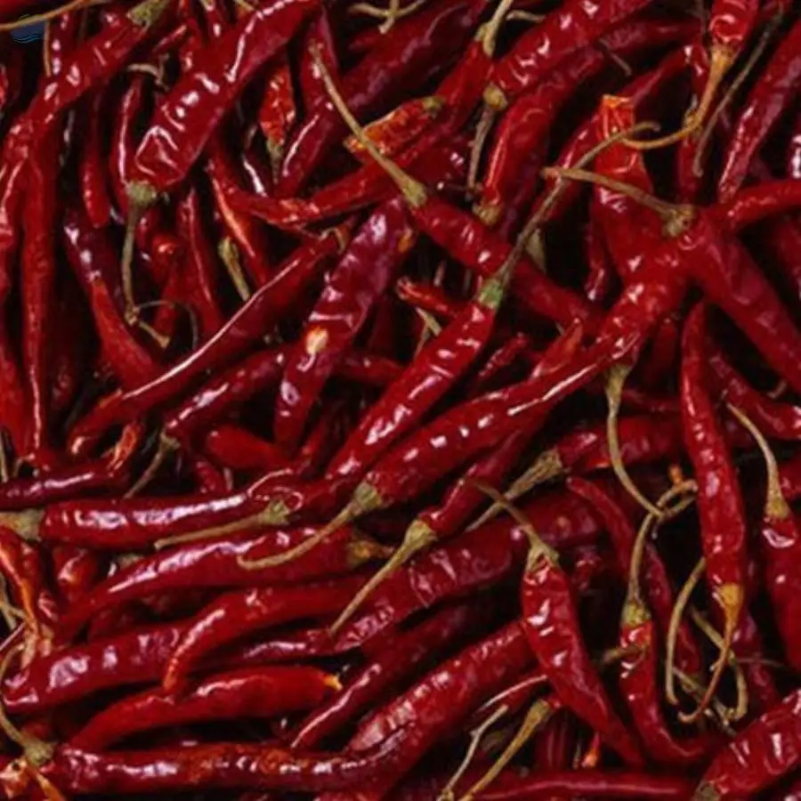 Red Chili