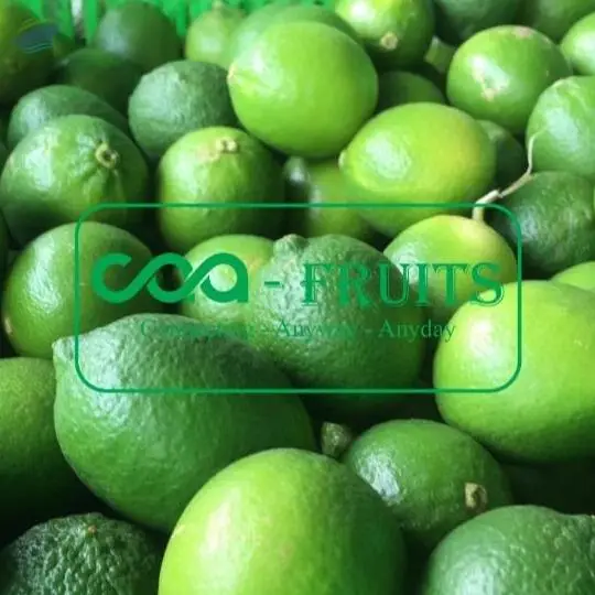 Limes