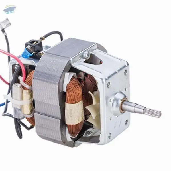 Universal Motor