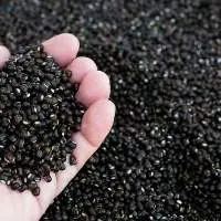 Black Lentil