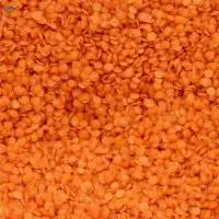 Red Lentil