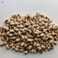 Cow Pea