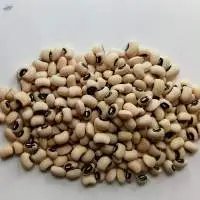 Cow Pea