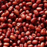 Red Cow Pea