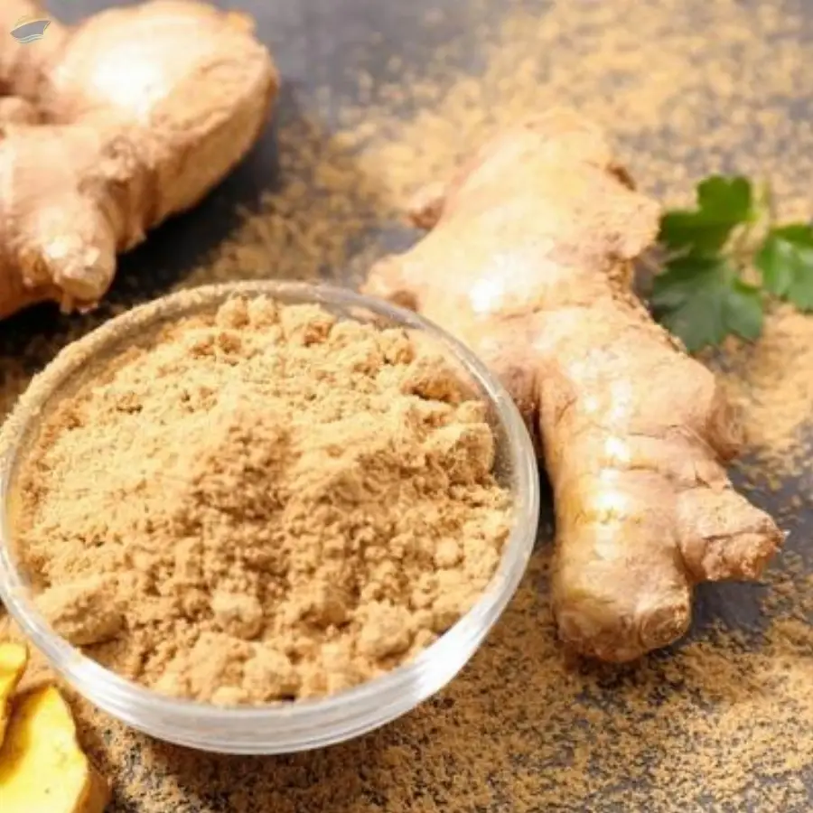 Ginger