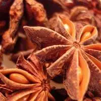 Star Anise