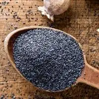 Mustard Seed