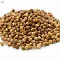 Coriander