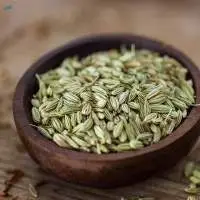 Fennel Seeds