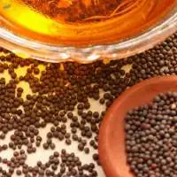 Mustard Oil