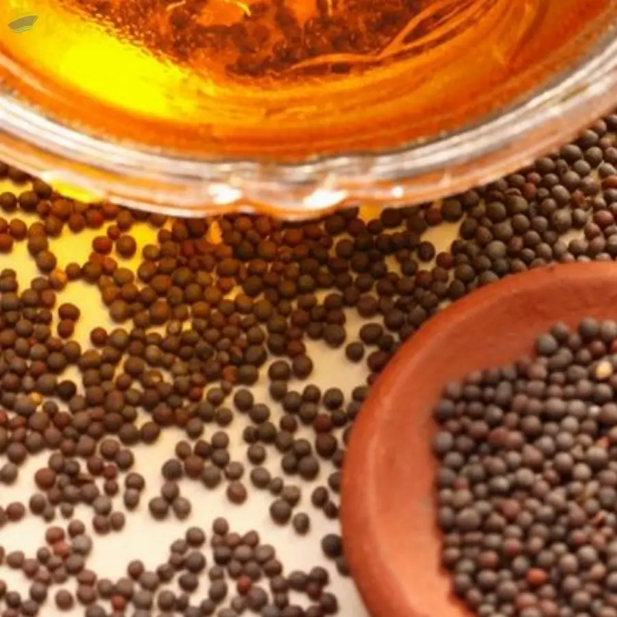 Mustard Oil