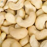 Cashew