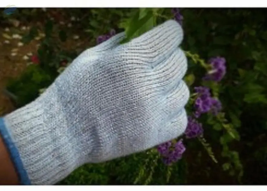 Cotton Glove G 276