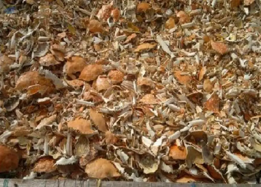 Dried Crab Shells