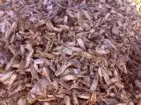Dried Prawn Shells