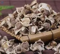 Moringa Seeds