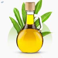 Turmeric Leaf Oil