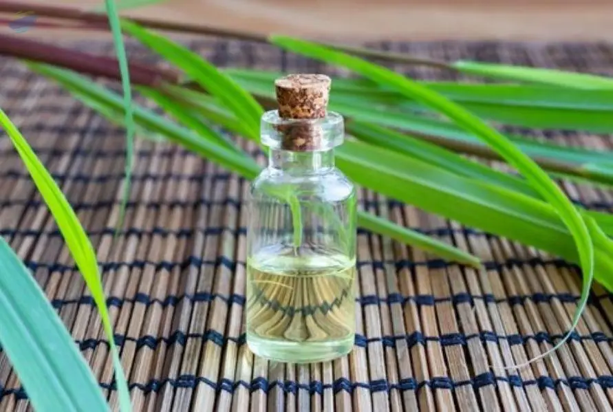 Citronella Oil