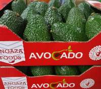 Organic Hass Avocado