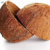 Coconut Shells