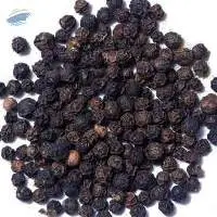 Black Pepper