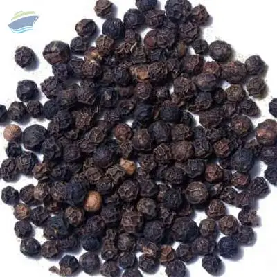 Black Pepper