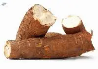 Tapioca