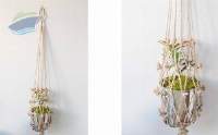 Plant's Holder
