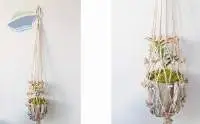 Plant's Holder